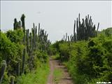 Isla Caja de Muerto - PONCE